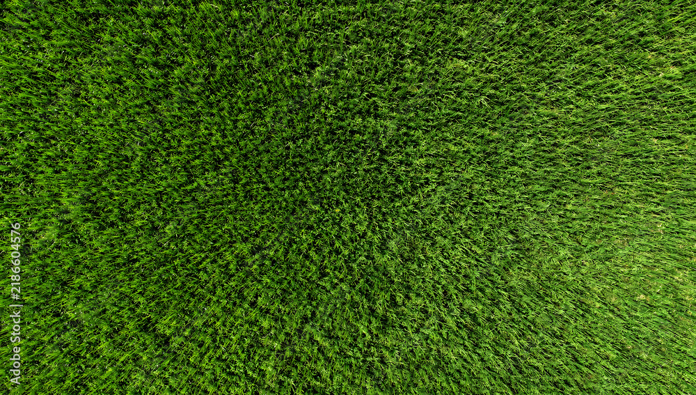 Obraz premium Full frame texture of vibrant green agricultural crop field from top down aerial perspective