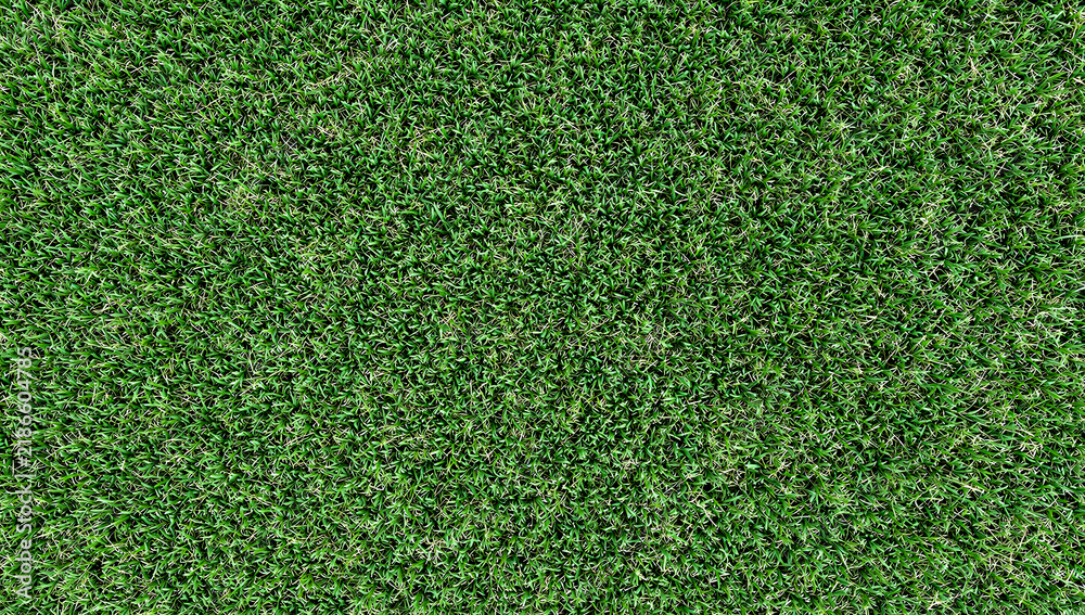 Obraz premium Full frame overhead background texture of manicured synthetic artificial green grass turf lawn