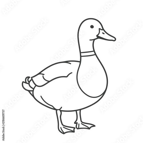 Line art illustration of a duck