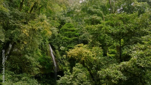 Calm Natural Landscape. Serene Woodland With Gentle Streams. Quiet Forest With Flowing Water And Thick Trees. Peaceful Wooded Area Featuring Tranquil Streams And Lush Foliage