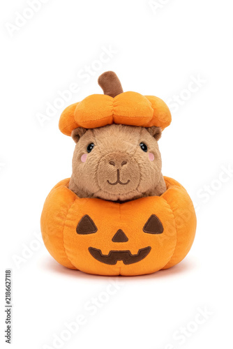 Capibara carpincho con calabaza para Halloween