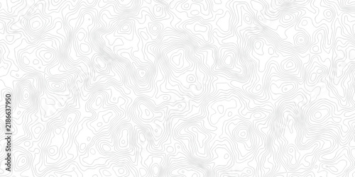 Abstract grid landscape topography white background. white and black relief line wireframe isoline location diagram world map texture design.	
