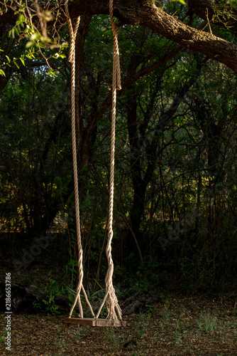 Fototapeta swing