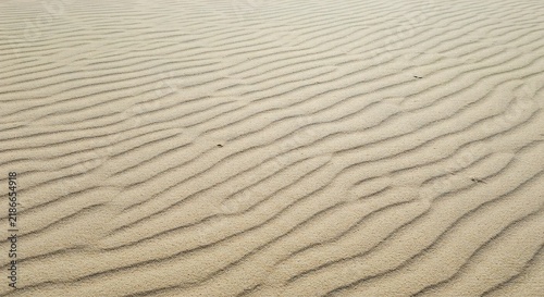 Sand texture background featuring wind blown ripple patterns on golden desert dunes for natural backdrop design