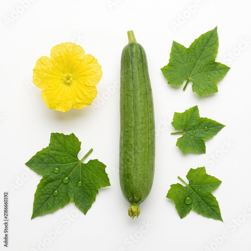 Fresh green luffa gourd with vibrant yellow flower and leaves