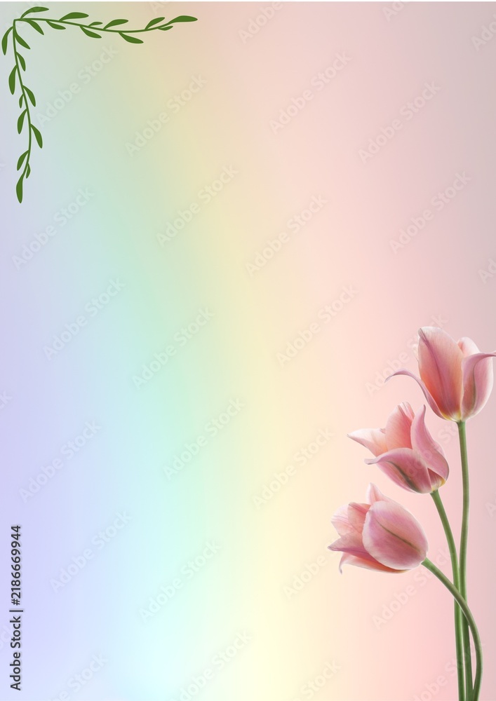 Fototapeta premium Soft Color Background -