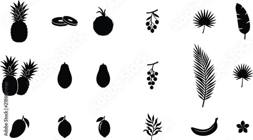 Tropical Fruits Palm Leaves and Exotic Botanical Silhouette Icons Set