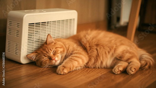 Fluffy ginger cat sleeping peacefully next to a small white portable space heater on a wooden floor