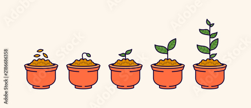 Cartoon sequence showing plant growth stages from seeds to full plant. five orange pots with progressive sprout development. vector illustration with bold outlines for gardening and nature concepts.