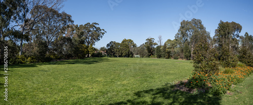 Panoramic wide-angle view of an expansive open lawn in a municipal park, framed by a dense native eucalyptus trees, landscaped flower beds. Background texture of suburban green space in Australia.