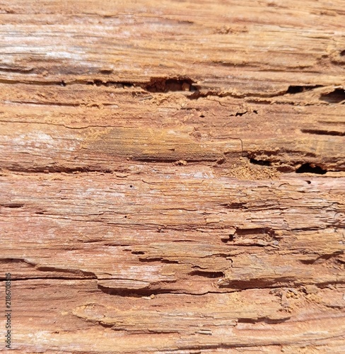 old wood texture