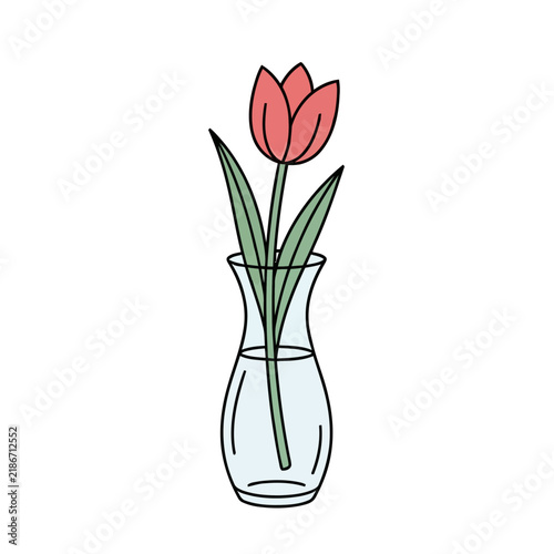 Single Tulip in a Glass Vase