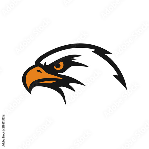 Majestic Eagle Head Profile with Intense Gaze.