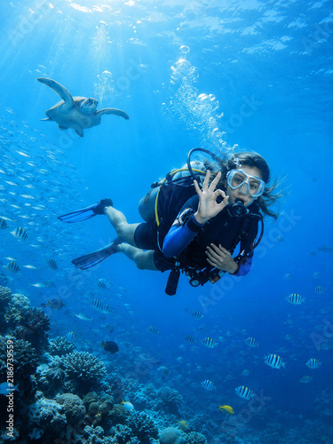 Scuba diver making an OK gesture underwater with a turtle nearby  