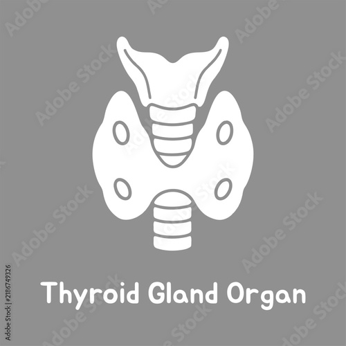 Thyroid gland organ icon showing human anatomy for medical diagnostic research in a flat design style