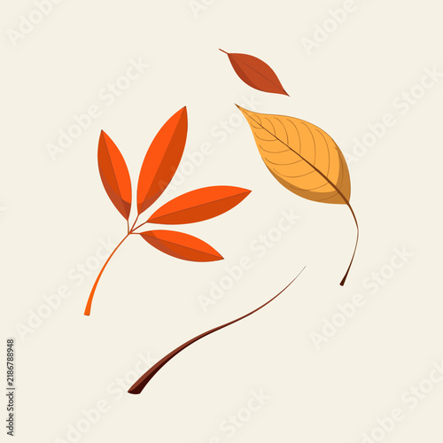 Autumn leaves vector illustration, falling orange and yellow foliage, seasonal botanical elements for fall design projects