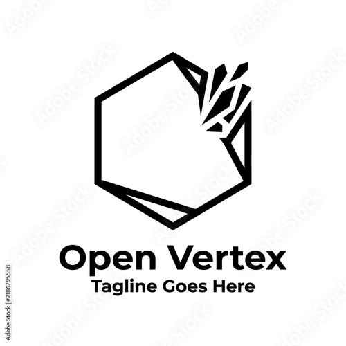 фотографія Open vertex geometric broken polygon frame with shattering crystal shards for re