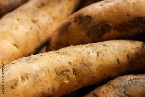 Принти на полотні Close up of Fresh sweet potatoes lie close, earthy tones dominate