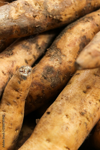 Obraz na plátně Fresh sweet potatoes lie close, earthy tones dominate