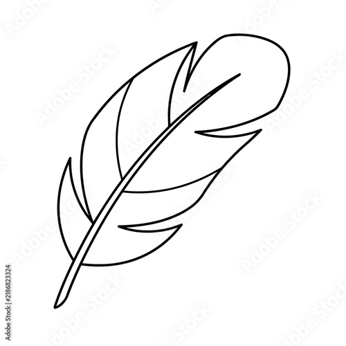 Outline of a single feather