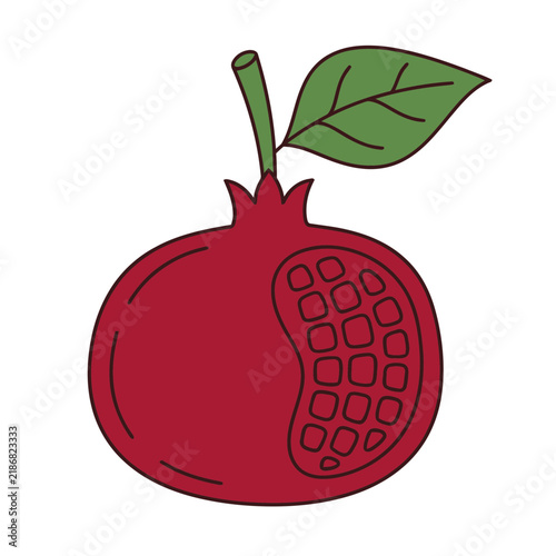 Pomegranate with leaf and stem