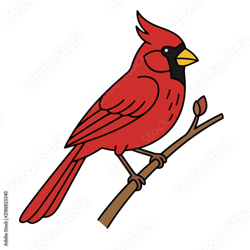 Red Cardinal Bird Perched on a Branch