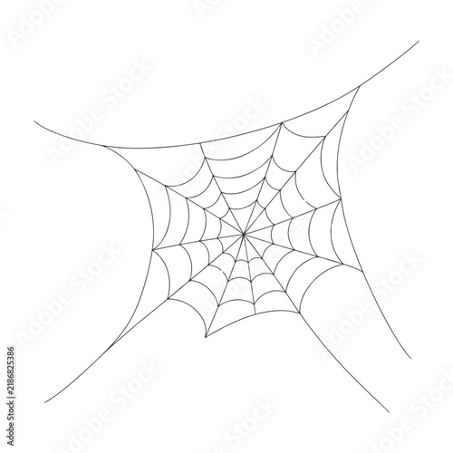 A detailed hand drawn illustration of a spider web isolated on a white background perfect for halloween decorations and spooky nature themed design projects