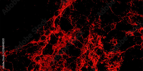 Fiery Red Fire and Flame Background with Intense Heat, Burning Energy, Orange Light, Explosive Motion and Dynamic Abstract Grunge Texture Design