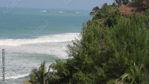 Ocean waves roll toward a lush, green cliffside. Tropical trees and palms frame the scene. Clear sky and calm waters suggest a peaceful day. Perfect for travel, vacation, or coastal lifestyle themes