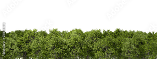 Greenery trees woods canopy row isolate transparent backgrounds 3d render png