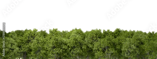 Panel kuchenny z motywem Greenery trees woods canopy row isolate transparent backgrounds 3d render png