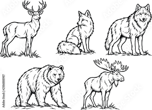 Woodland creatures illustration features a deer animal fawn
