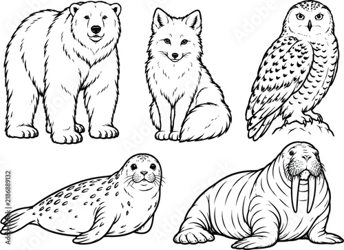 Arctic animals illustration features a polar bear animal