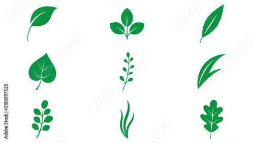 Green Leaf Vector Icon Set Eco Oak Plant Logo Design