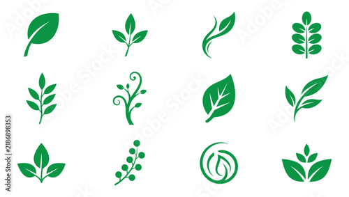 Green Leaf Vector Icon Set Eco Vine Botanical Logo Design