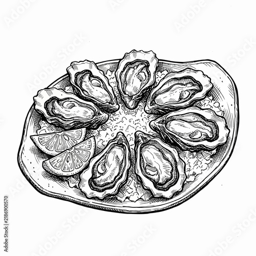 Hand-drawn oysters on ice with lemon slices
