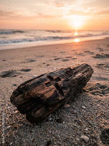 Weathered driftwood log on sandy beach at sunset with ocean waves.