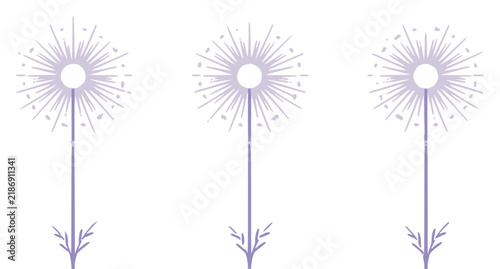 Minimalist vector illustration of three stylized dandelion set with simple line art design featuring outline, illustration, graphic elements with clean design and vector art