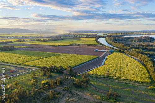 Aerial view over expansive sugar cane fields and surrounding farmland near Yamba, showing cultivated agricultural land illuminated by warm afternoon light