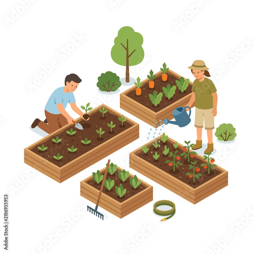 People working together in a community vegetable garden with raised wooden beds for planting organic homegrown crops and vegetables