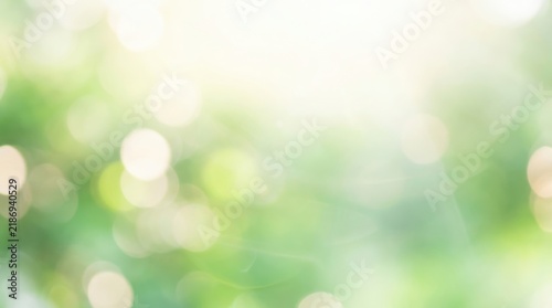 Soft green bokeh background with gentle sunlight and natural light diffusion