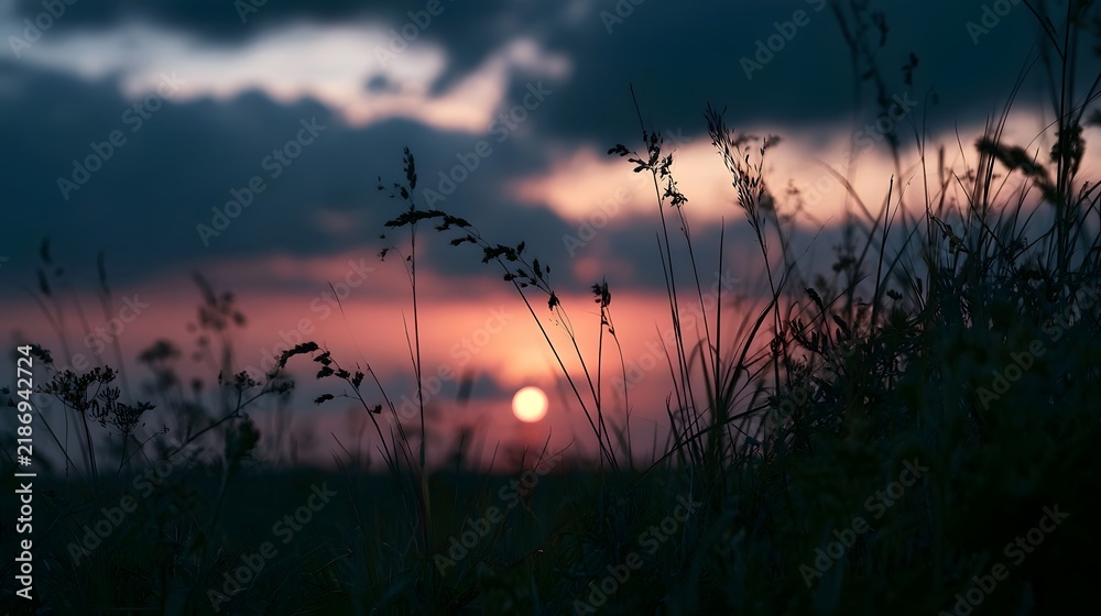 Obraz premium Sunset behind tall grass with dramatic clouds and warm glowing horizon in a serene natural landscape