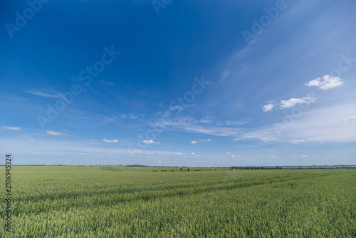 Bild auf Leinwand Vast green fields stretch under a bright blue sky embodying the essence of a per