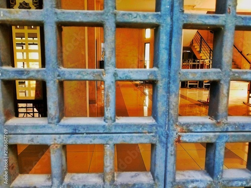 This photo shows an iron fence grille featuring a neat arrangement of sturdy metal bars