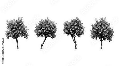 apple tree retro halftone set , clean white border outline PNG