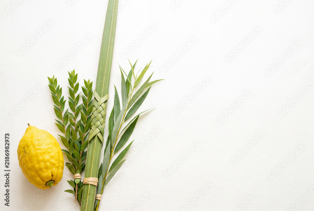Obraz premium Minimal Four Species arrangement with elegant copy space for a premium Sukkot advertising background.