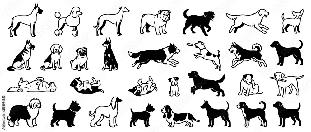 Fototapeta premium Collection of Dog Breed Silhouettes on Transparent Background
