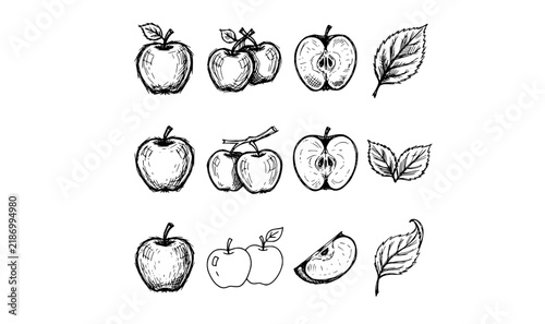 Hand drawn apple sketch icons collection with rustic crosshatch line art and organic fruit clipart vector