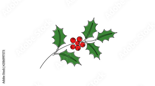 Holly sprig with green leaves and a cluster of red berries is isolated on a plain white background.