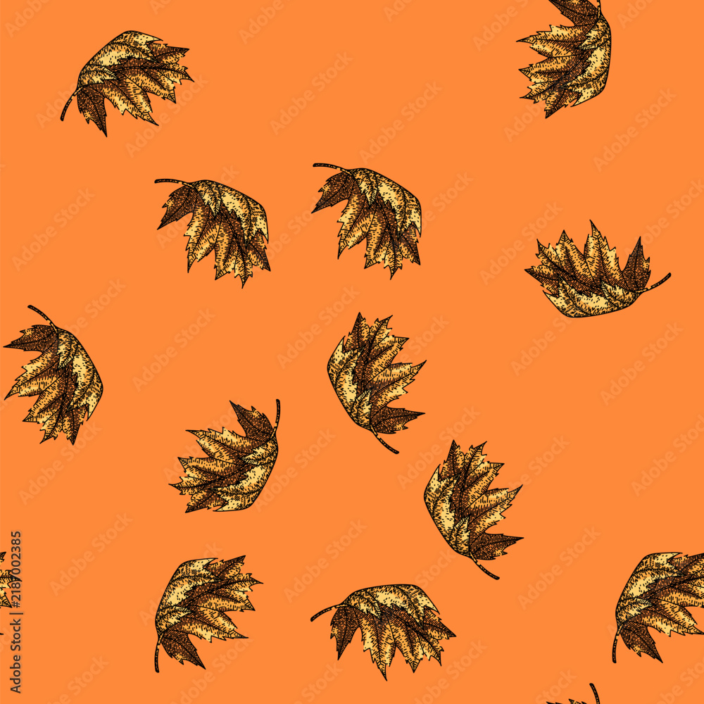 Obraz premium pattern leaves maple leaf hand drawn. vector , red fall leaves maple leaf vector sketch illustration